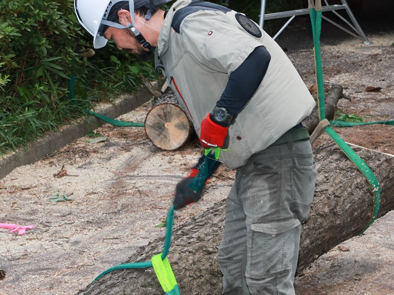 手に職をつけながら地域の緑を守るプロフェッショナルへ成長できます