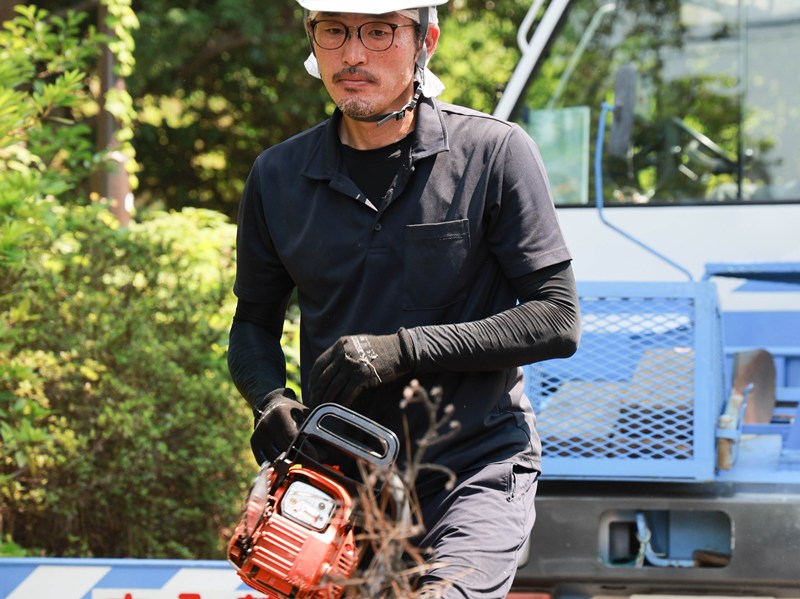 lawn-care-643559_1920